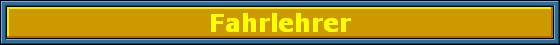 Fahrlehrer
